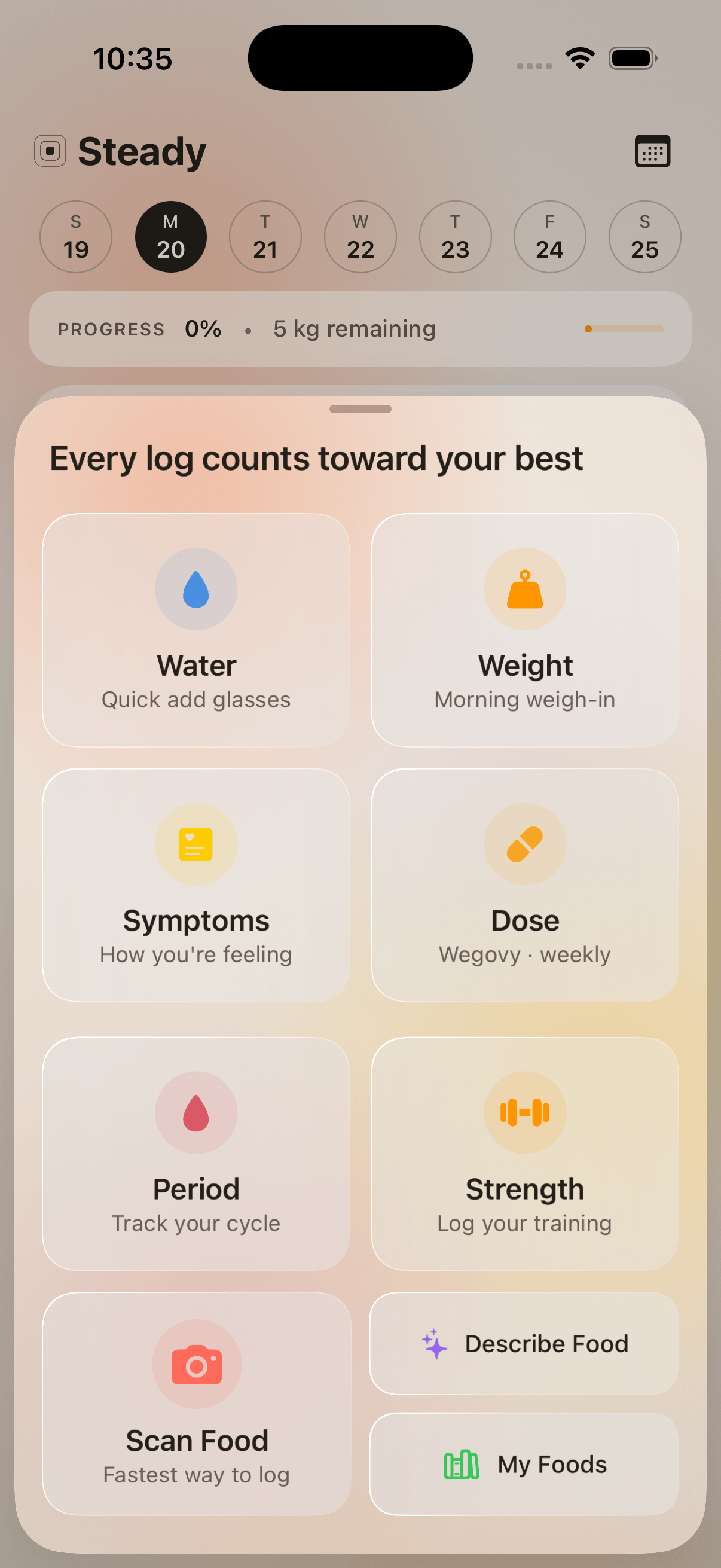 Steady logging sheet — a single sheet with every log: meal, water, weight, dose, injection site, symptom, and period.