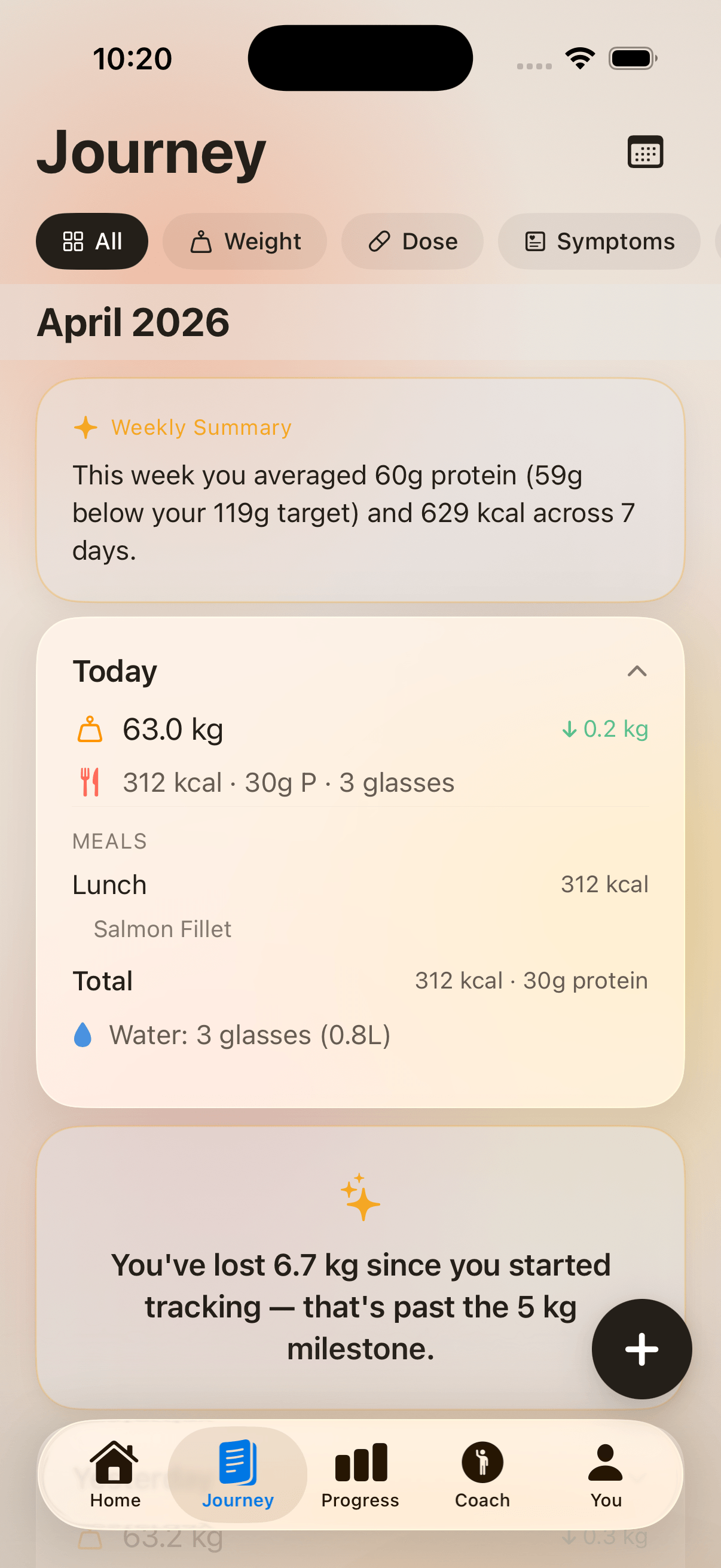 Steady Journey — an unbroken log of every day since you started, with weight, calories, protein and symptoms.